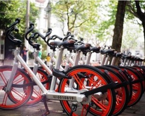 摩拜早期投資人劉二海：當(dāng)你足夠強(qiáng)大，自不必與巨頭為伍